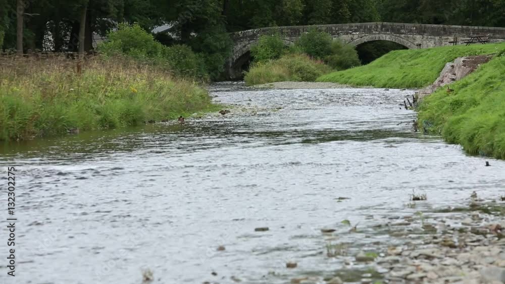 Scottish stream: crystal clear water Scottish stream: crystal clear water