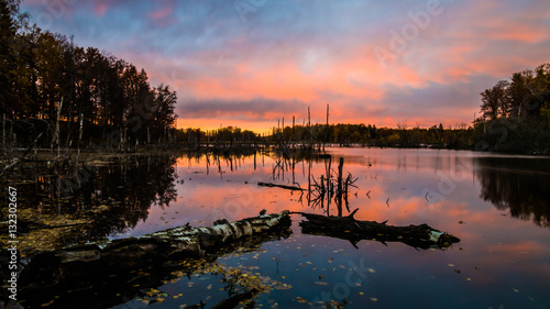 Tinnerö eklandskap outside Linköping