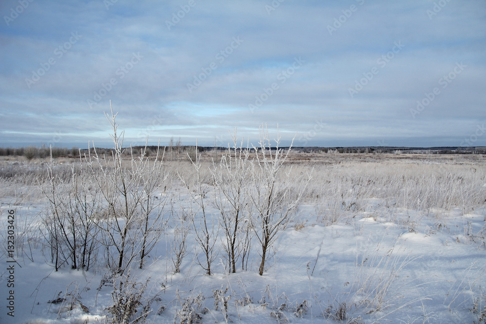 Winter landscape with frozen trees and blue sky. Winter landscape with frozen trees and blue sky.