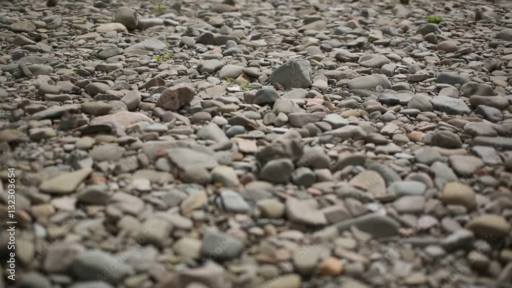 Pebbles at the stream in Scotland - close up Pebbles at the stream in Scotland - close up