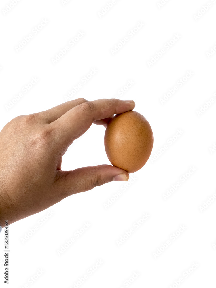 hand hold egg ,isolated on white hand hold egg ,isolated on white