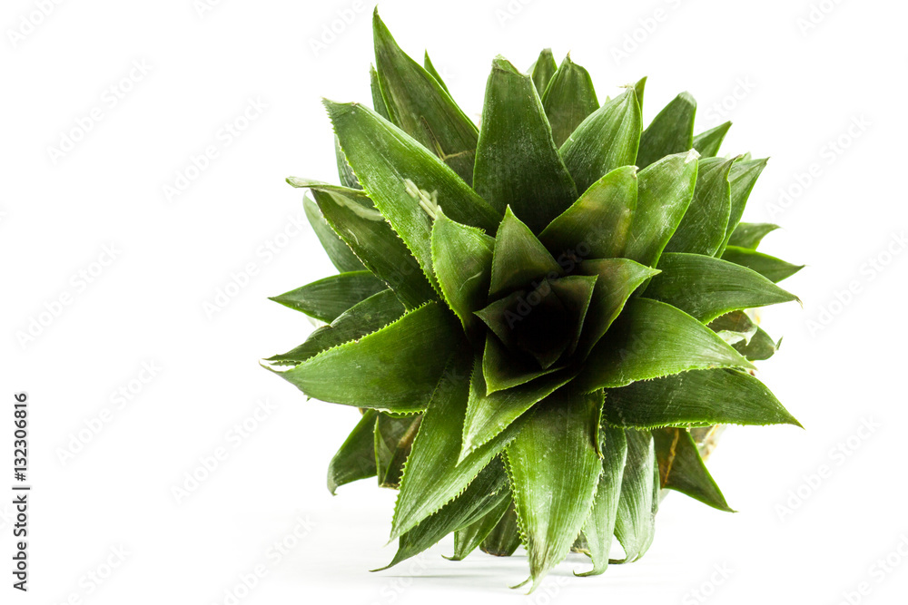 Ripe fresh pineapple isolated on white background Ripe fresh pineapple isolated on white background