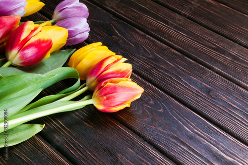 Colored fresh tulip on wood desk. 