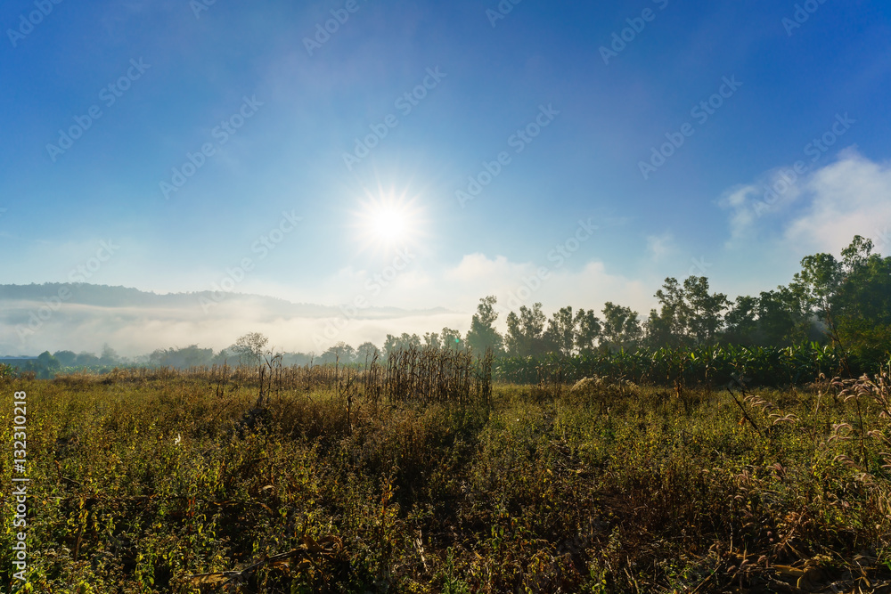 Scenery of sunrise and foggy in countryside in Tak , Thailand