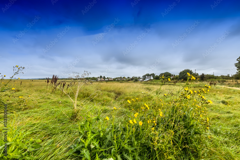 Obraz premium Landscape