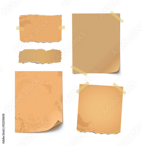 Collection of various crumpled papers