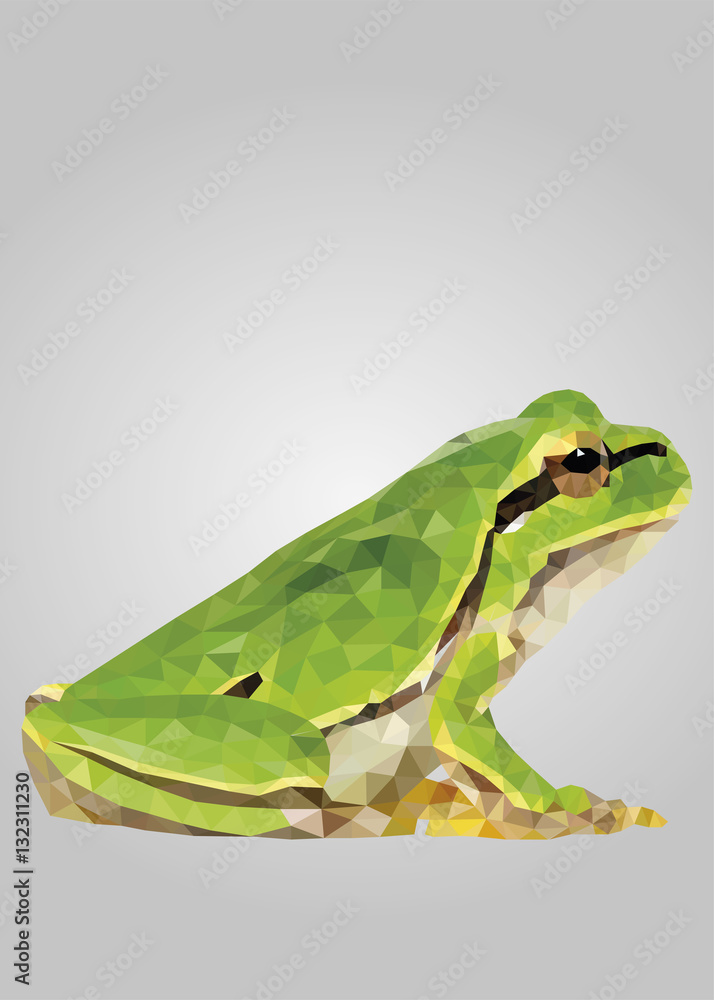 Frog animal standing and looking profile on camera Stock Vector | Adobe Stock Frog animal standing and looking profile on camera Stock Vector | Adobe Stock