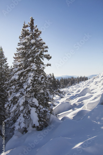 Mountain range Zyuratkul. Forest and snowdrifts, winter landscap