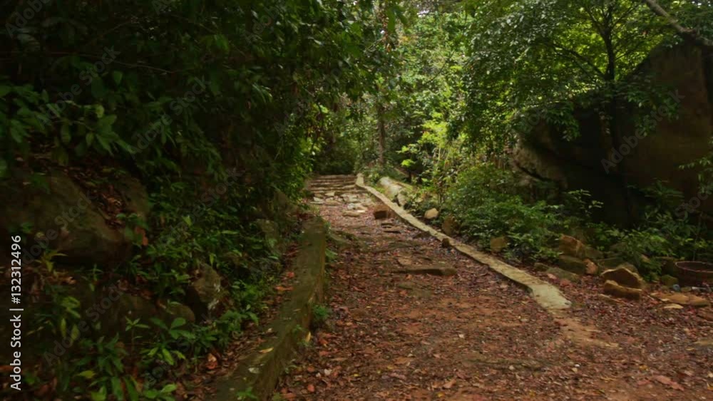 Shady Walkway in Thick Tropical Park Shady Walkway in Thick Tropical Park