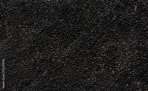 Black caviar. Texture. photo