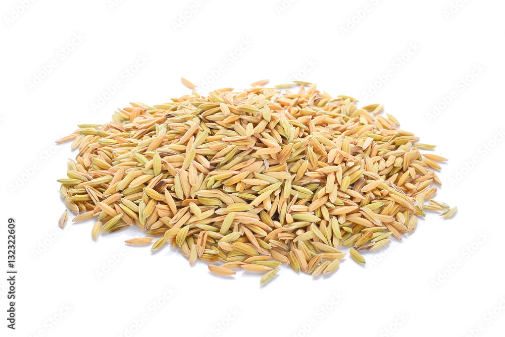 pile of paddy jasmine rice isolated on white background