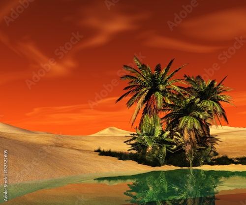 Oasis in the desert. Palm trees and a lake. 