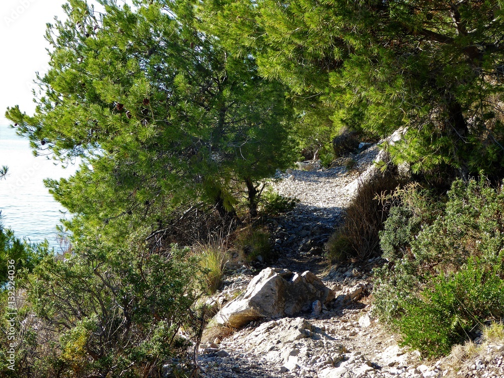 sentier des douaniers de la Redonne sentier des douaniers de la Redonne