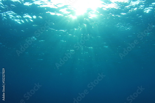 Underwater background © Richard Carey