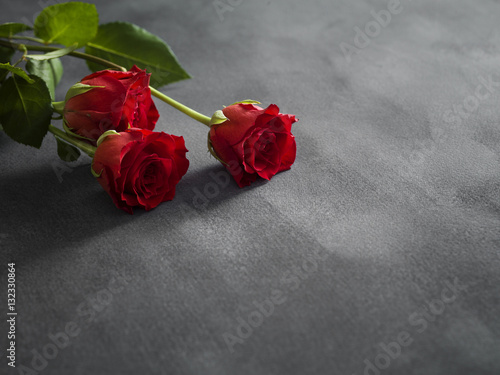 Fototapeta Naklejka Na Ścianę i Meble -  Composition of roses on a grey background