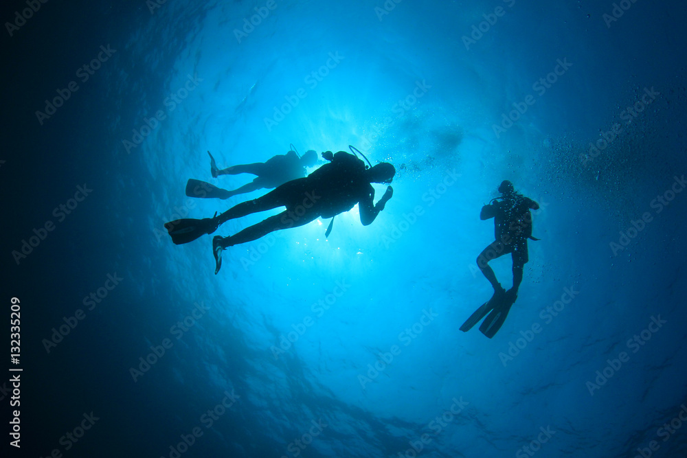 Obraz premium Scuba diving