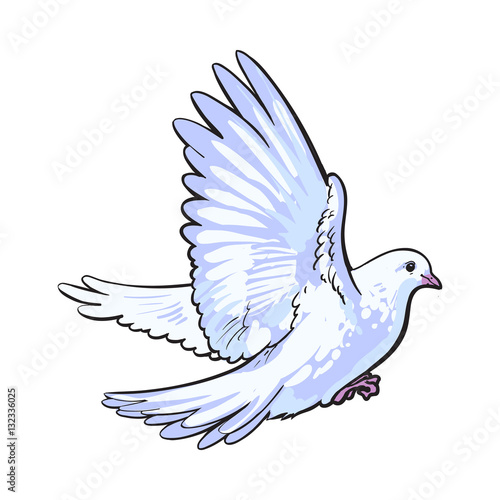 Free flying white dove, sketch style vector illustration isolated on white background. Realistic hand drawing of white dove, pigeon flapping wings, symbol of love, romance and innocence, marriage icon