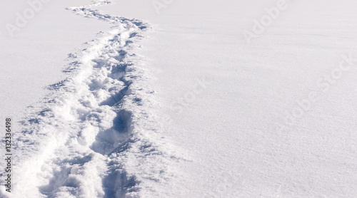 Trail of footprints in the snow