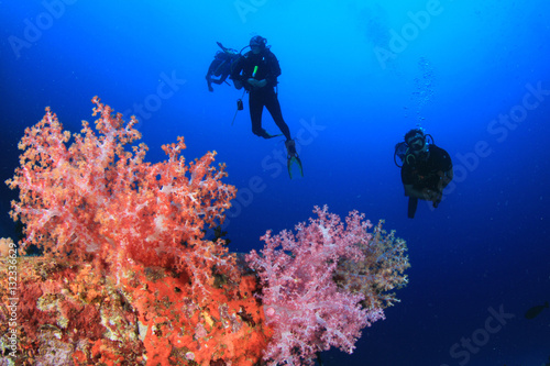 Wallpaper Mural Scuba dive underwater coral reef Torontodigital.ca