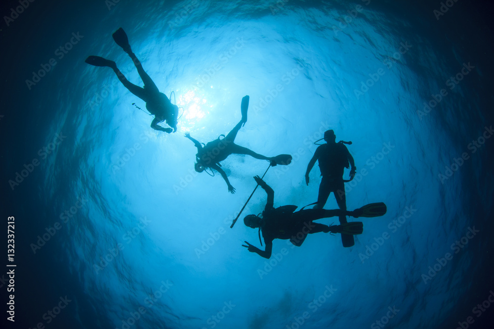 Scuba divers diving Scuba divers diving