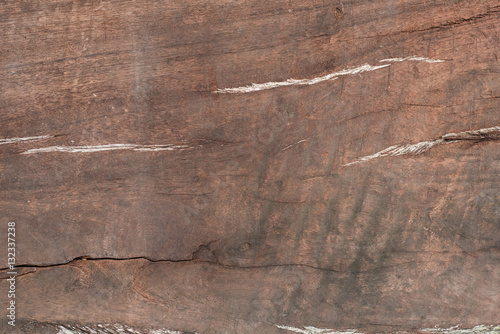 Wood background
