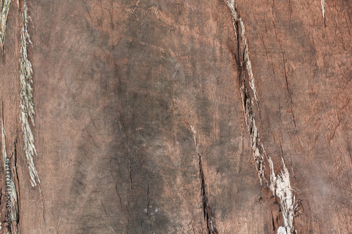 Wood background