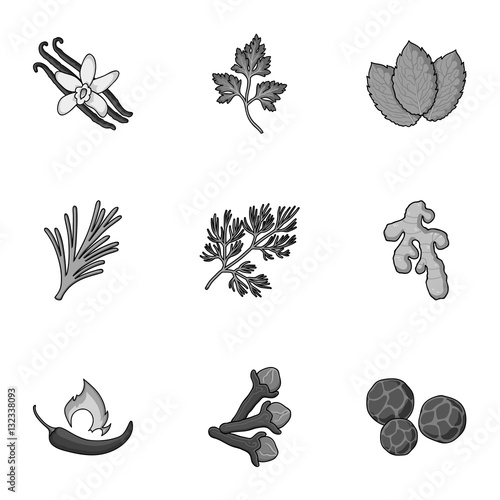 Herb and spices set icons in monochrome style. Big collection of herb and spices vector symbol stock illustration