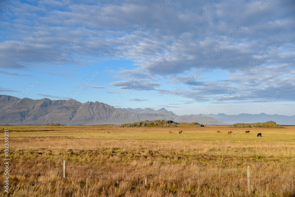 Beautiful landscape in summer of Iceland Beautiful landscape in summer of Iceland
