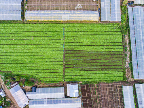 Bild auf Leinwand Aerial View of Plantation and Greenhouse in Samll Village on Mou
