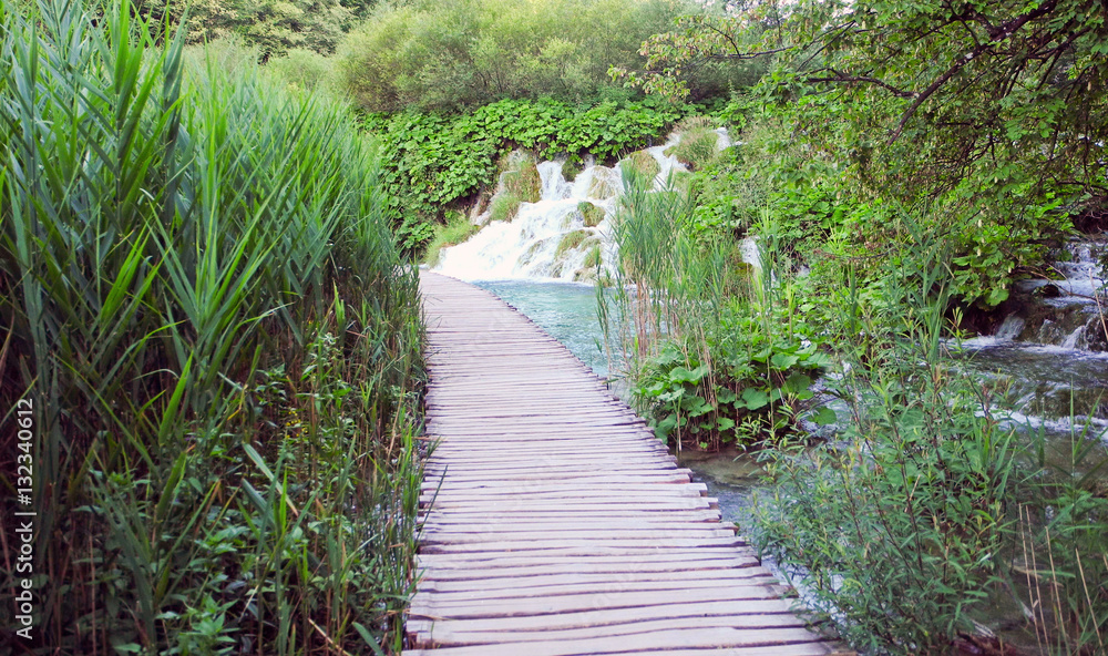 Wooden footpath above the lake. Wooden footpath above the lake.
