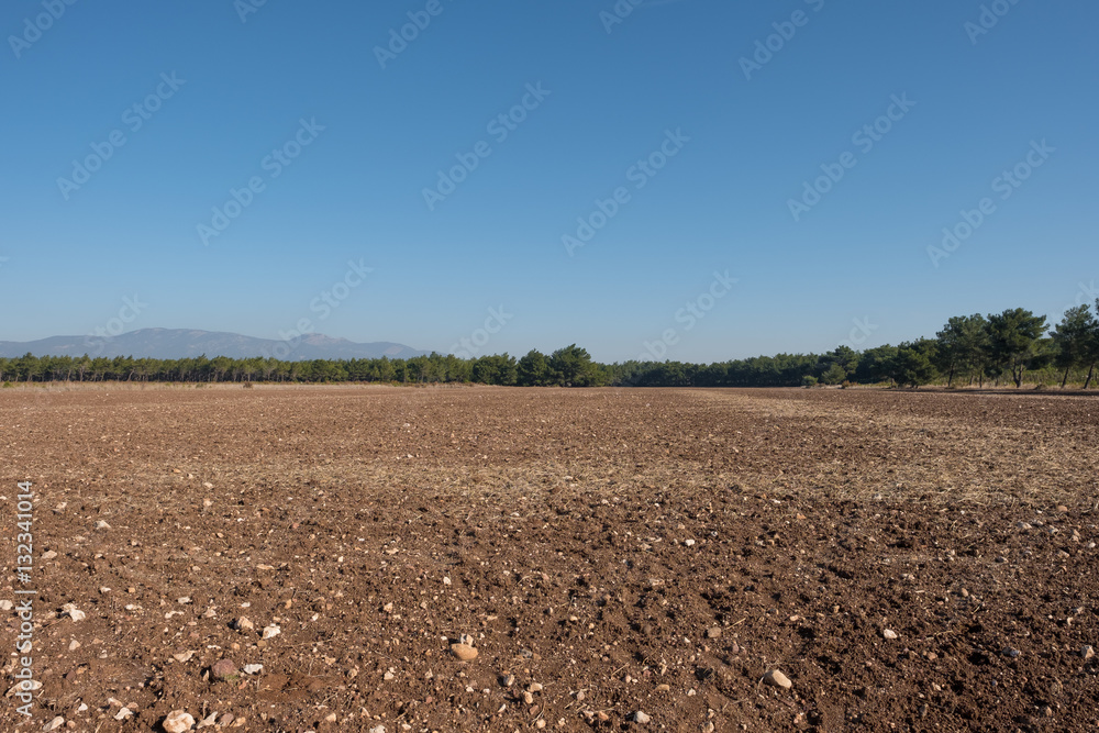 Tilled soil with forest background Tilled soil with forest background