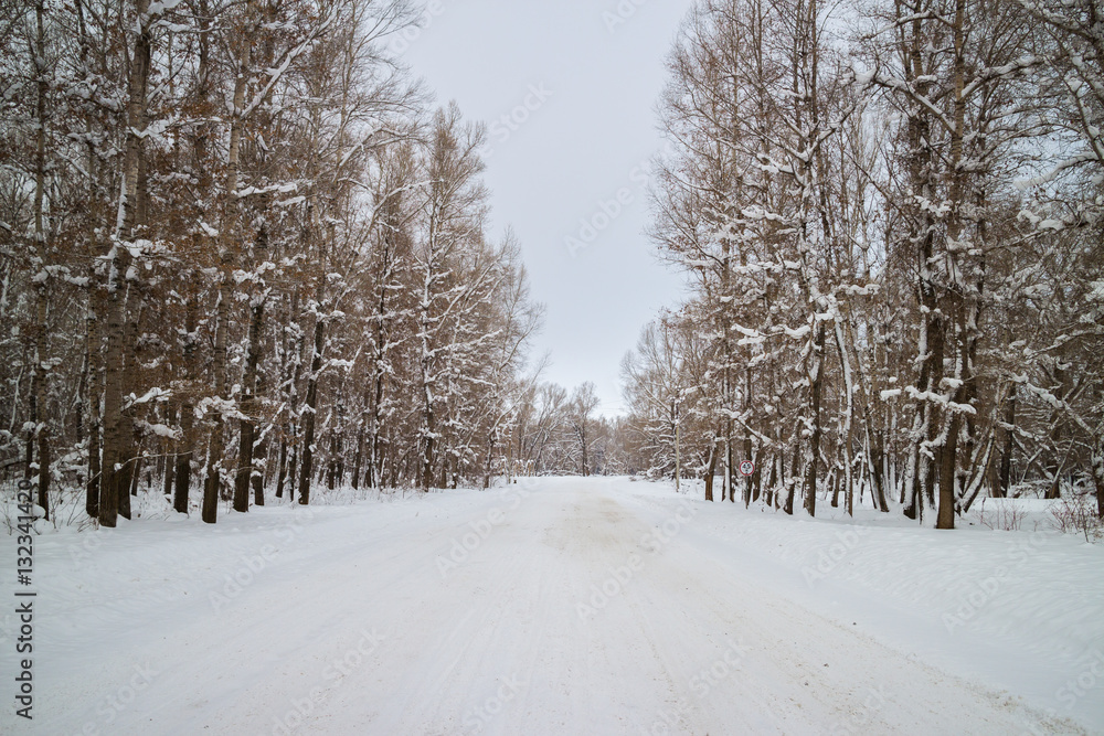 Naklejka premium winter forest road among snow-covered trees