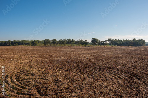 Tilled soil with forest background