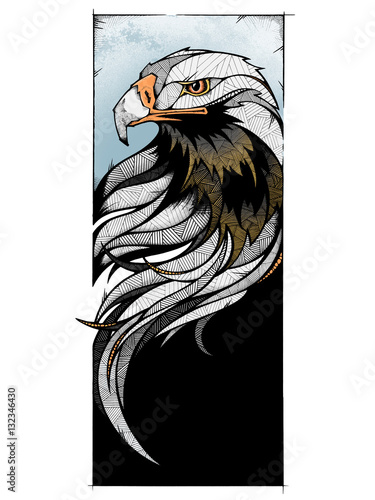 Eagle, illustration  (ID: 132346430)