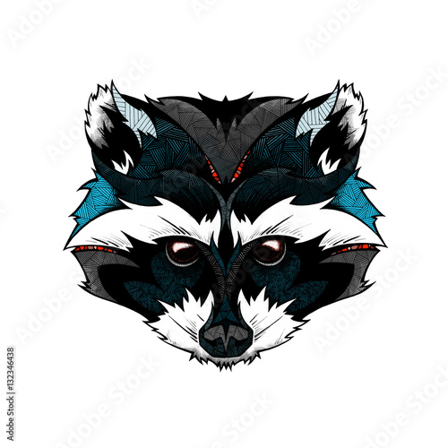 Raccoon head, illustration  (ID: 132346438)