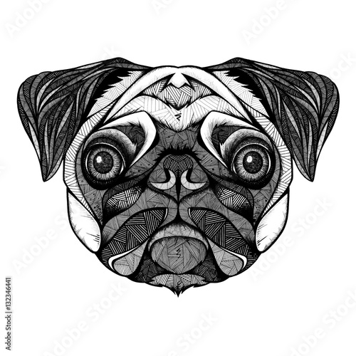 Pug head, illustration, black and white  (ID: 132346441)
