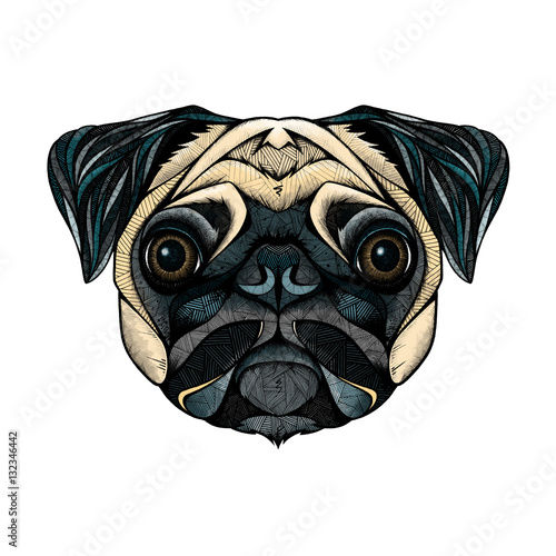 Pug head, illustration  (ID: 132346442)