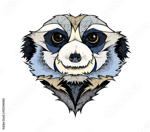 Meerkat head, illustration  (ID: 132346460)