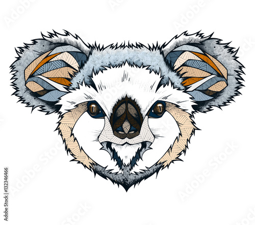 Koala head, illustration  (ID: 132346466)