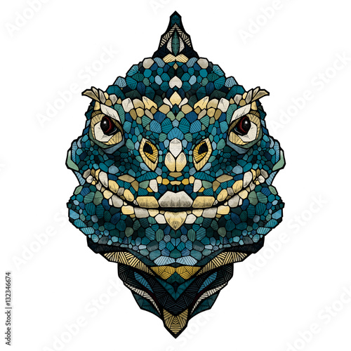 Lizard head, illustration  (ID: 132346674)