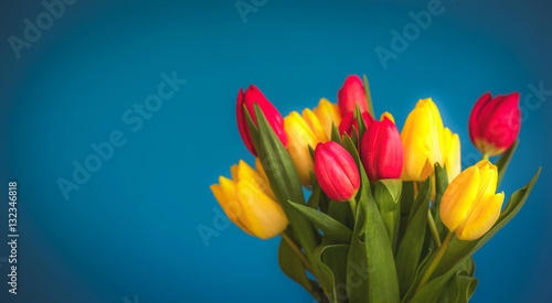 Tulpen, Frühlingsblumen Hintergrund, fresh Spring Flowers