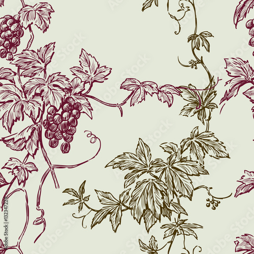 pattern of the vine branches