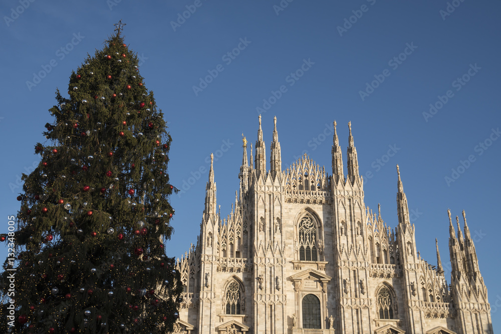 Christmas tree in front of Milan cathedral