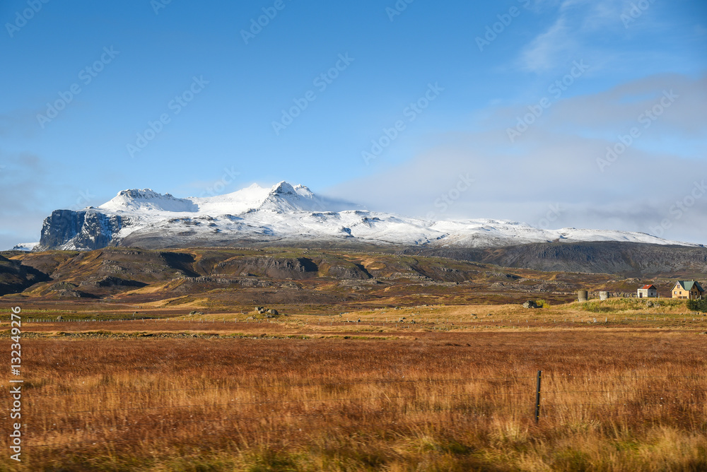 mountain and field in autumn of Iceland