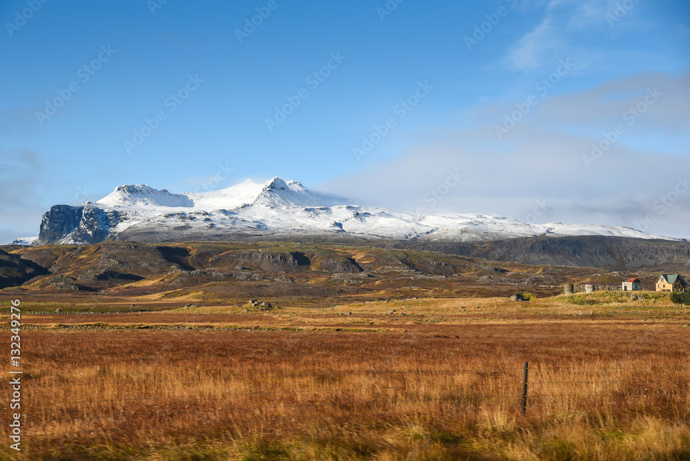 Fototapeta premium mountain and field in autumn of Iceland