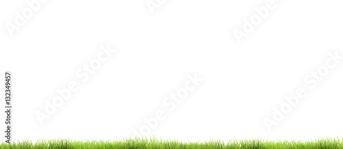green grass 3d render backg...