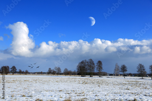 Pola pokryte śniegiem zimą, księżyc i ptaki.