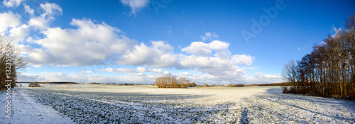 panorama of snow covered agricultural fields in winter with blue sky