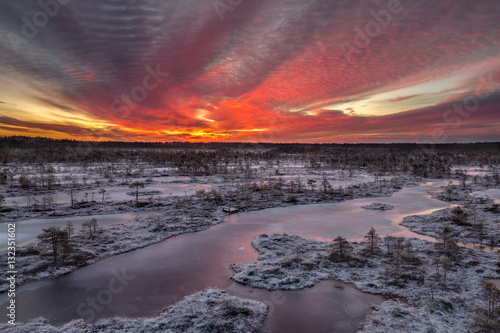Fiery winter dawn in the bog