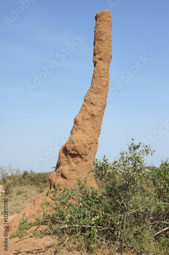 Termitenbau, Äthiopien, Afrika